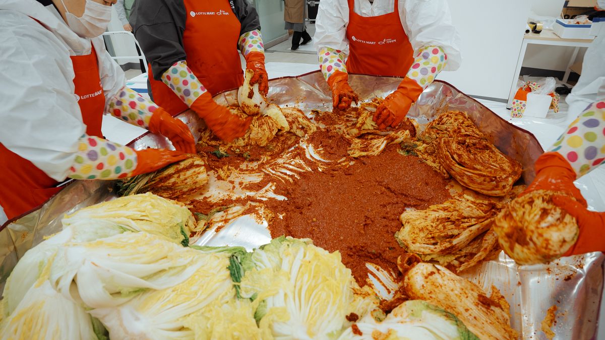김장 양념을 배추에 채워 넣는 봉사자들의 손